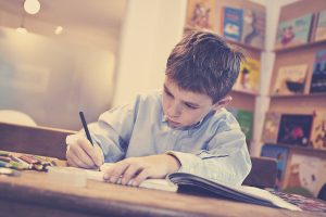 Besondere Leistungen - Vielseitige Bibliothek, bestehend aus Kinderbüchern und Erwachsenenliteratur